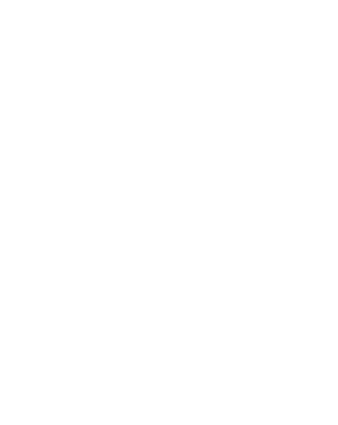 Tiger 45